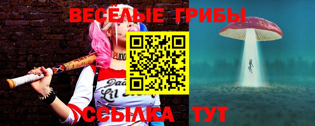 Шебекино  Галлюциногенные грибы мухоморы  Вход с VPN 